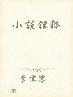 小说银狐