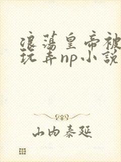 浪荡皇帝被多人玩弄np小说封面
