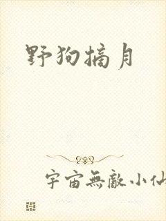 野狗摘月封面