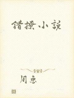 错撩小说