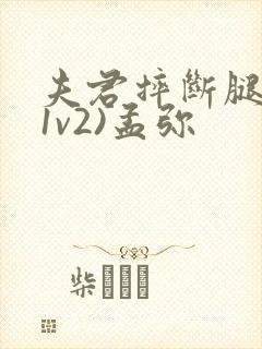 夫君摔断腿后(1v2)孟弥