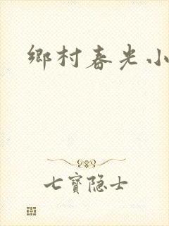 乡村春光小说封面