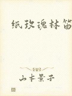 纸玫瑰林笛儿
