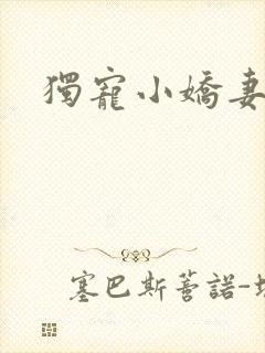 独宠小娇妻