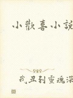 小欢喜小说