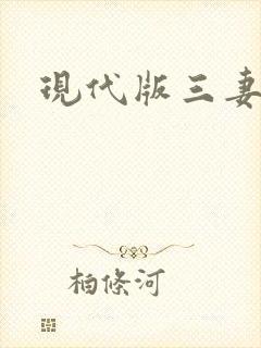 现代版三妻四妾封面