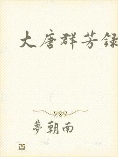 大唐群芳录封面