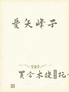 爱矢峰子封面