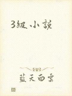 3级小说