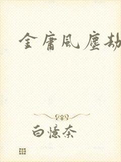 金庸风尘劫