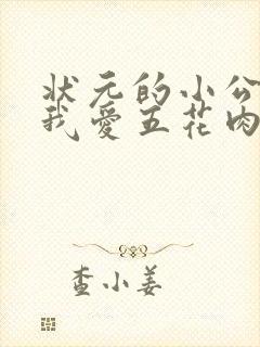 状元的小公主(我爱五花肉)