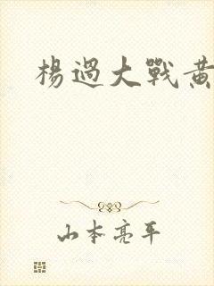 杨过大战黄蓉