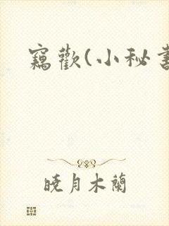 窃欢(小秘书)封面
