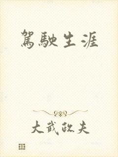 驾驶生涯