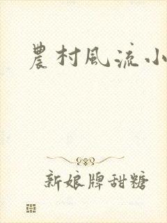 农村风流小说