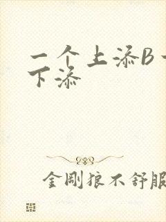 一个上添B一个下添