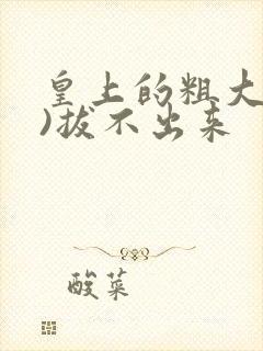 皇上的粗大(h)拔不出来