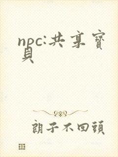 npc:共享宝贝封面