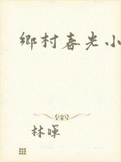 乡村春光小说