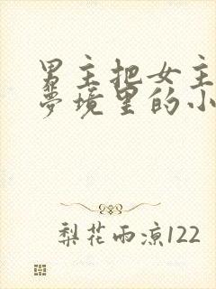 男主把女主拖进梦境里的小说