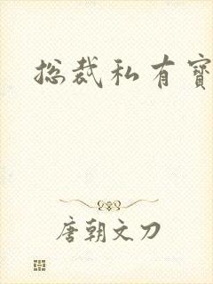 总裁私有宝贝