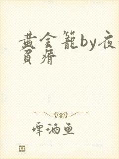 黄金笼by夜很贫瘠封面