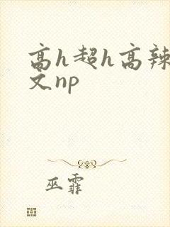 高h超h高辣h文np封面