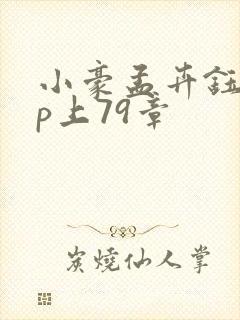 小豪孟卉钰慧三p上79章