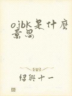 ojbk是什么意思封面