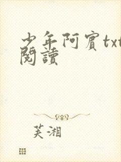 少年阿宾txt阅读