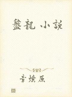 盘龙 小说