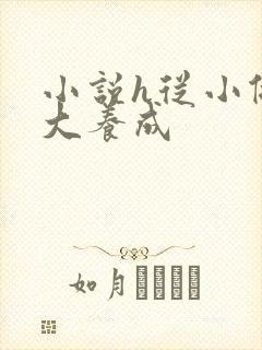 小说h从小做到大养成
