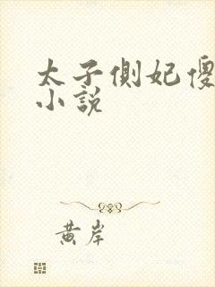 太子侧妃傻乎乎小说