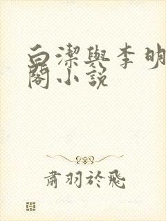 白洁与李明笔趣阁小说封面