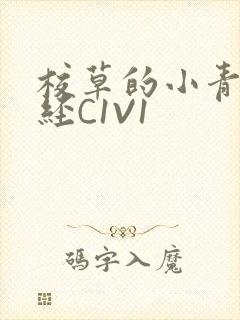 校草的小青梅不经C1V1封面
