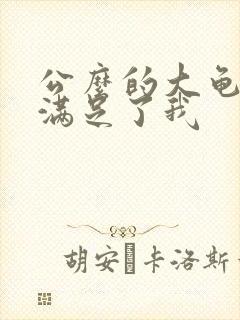 公么的大龟强大满足了我
