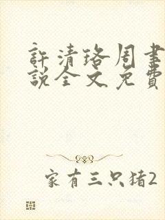 许清珞周聿衡小说全文免费阅读封面