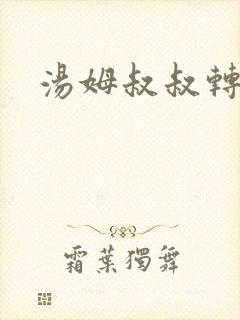 汤姆叔叔转接口
