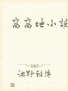窝窝地小说网