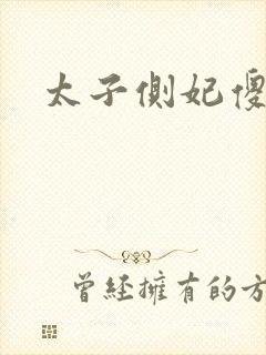太子侧妃傻乎乎