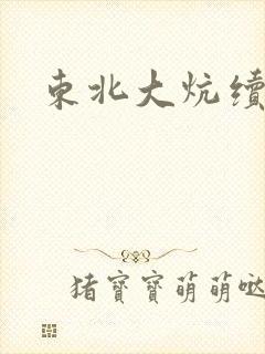 东北大炕续集封面