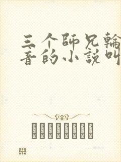 三个师兄轮流上音的小说叫什么封面