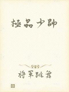 极品少帅封面