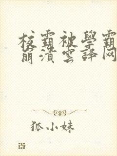 校霸被学霸玩到崩溃云译网