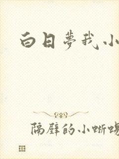 白日梦我小说