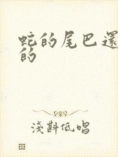 蛇的尾巴还在我的封面