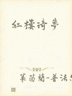红楼琦梦