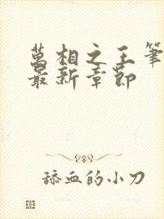 万相之王笔趣阁最新章节封面