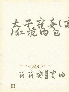 太子宠妾(高肉)红烧肉包