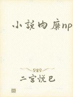 小说肉糜np